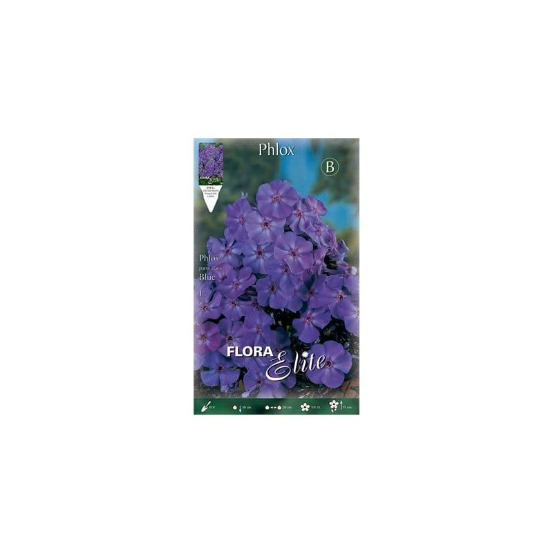Φλοξ Paniculata Blue 844270