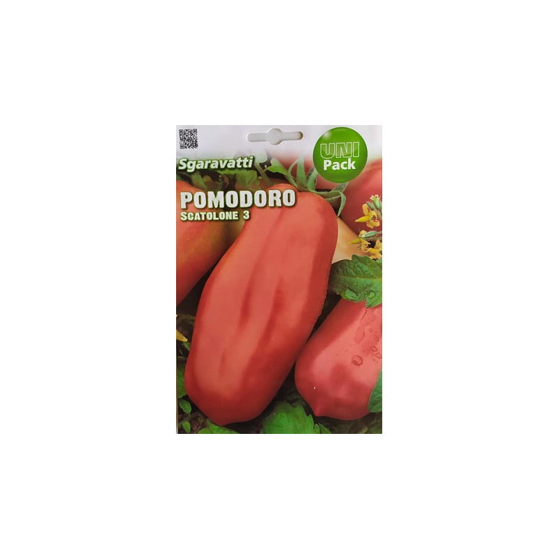 Τομάτα-ντομάτα Scatalone 3